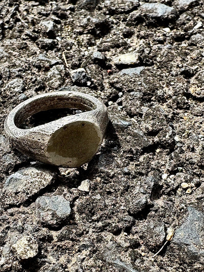 Silver925 Signet Ring -DAICHI-