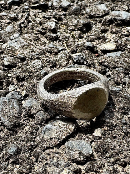 Silver925 Signet Ring -DAICHI-